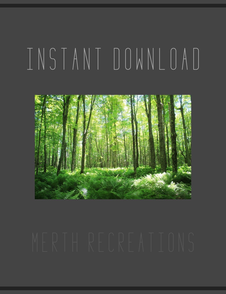Forrest Digital Download Green Woods Original Photo Ferns Printable Upper Peninsula Laughing Whitefish Falls Wall Decor Printable