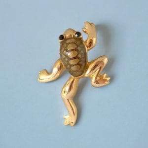 May include: A gold-colored frog-shaped brooch with a textured, olive-green back. The frog has black eyes and is posed as if leaping. The brooch is set against a light blue background.