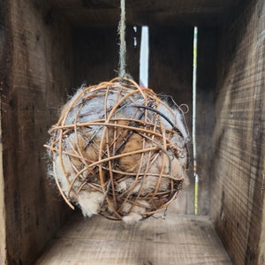 Bird Nesting Ball