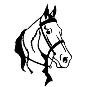 Gaited horse decal