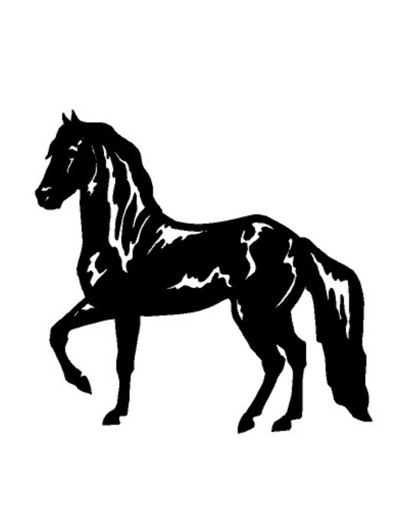 Paso Fino Horse Decal Car,truck, Trailer Decal Etsy