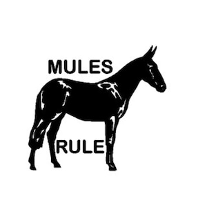 Mules Rules Decal // Car Window Sticker // Country Decal