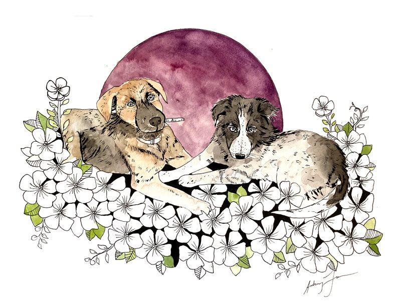 Two Pets /Custom Pet Portraits / Watercolor Ink Pet Drawings / Dogs and offers Cats / Animals / Gift / Commission / Painting