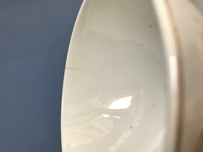 Ribbed Rooster /& Turkey Motif Antique French Porcelain Bowl