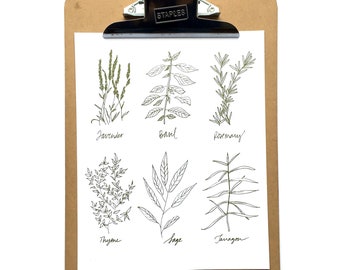 Herbs Pen & Ink Drawing *Digital Print* 8x10", Herbs Calligraphy Hand Lettering and Illustration