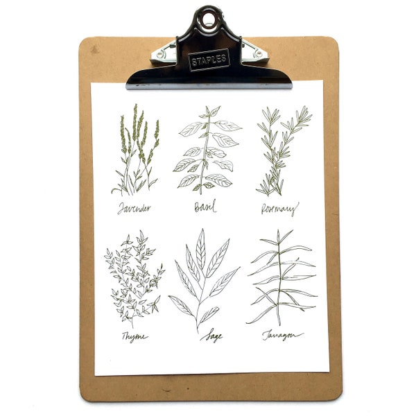 Ink Pen Herb Drawing Etsy