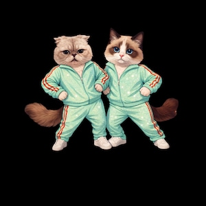 May include: Two cats wearing matching teal tracksuits with red and white stripes, and white sneakers. One cat is a light brown color with a grumpy expression, and the other is a Ragdoll cat with blue eyes.