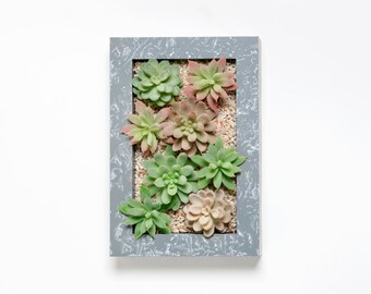 Faux Succulent Wall Planter