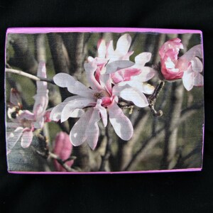 Caught Up In The Sunlight | Photo Block | Reclaimed Lumber | Decoupage | Flowers | Magnolias | Original Photography | Home Decor | 5.5&quot;x7&quot;