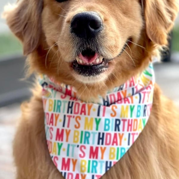 Birthday Dog Bandana, Its My Birthday Puppy Dog Bandana, Girl Boy Birthday Dog Bandana, Reversible Over the Collar Customizable Dog Bandana