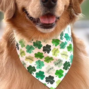 Lucky Clover Green St Patrick’s Day Dog Bandana, Over the Collar Reversible Pet Bandana, Shamrock St Patty’s Dog Cat Gift, Cat Bandana