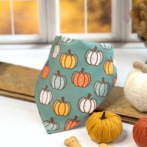 Cute Pumpkins and Fall Floral Dog Bandana - Perfect for Fall Family Photos, Autumn Reversible Design for 2 Looks in 1, New Dog Mom Gift