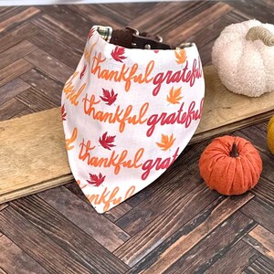 Thankful, Grateful, Blessed - Reversible Autumn Plaid Pet Bandana for Thanksgiving, Pumpkin Patch Family Pictures - Fall Festive Dog Bandana