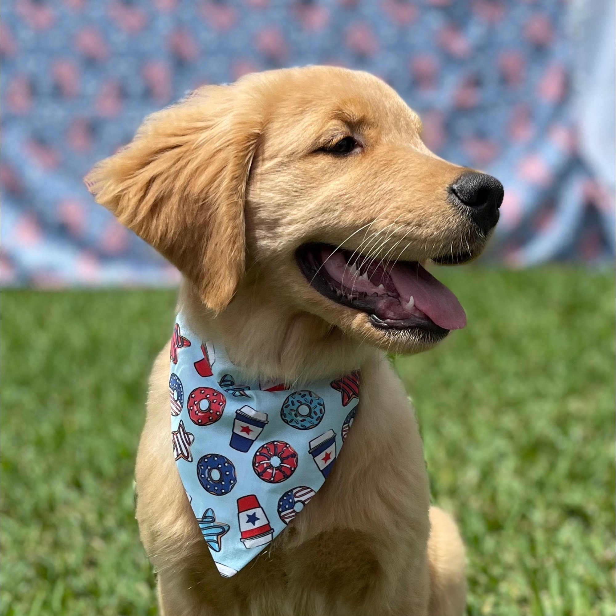 Patriotic Happy Fourth of July Dog Collar – muttsnbones
