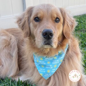 Dog Bandana Summer Dog Bandana, Cute Bandana, Suns Out Tongues Out Dog Bandana, Reversible, Personalized, Over the Collar Bandana image 3