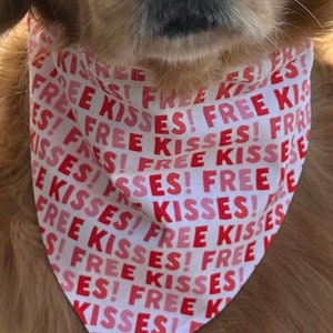 Reversible Valentine’s Day Dog Bandana, Free Kisses Red Plaid Personalized Dog Scarf, Over the Collar Dog Gift, Valentine Dog Photo Shoot