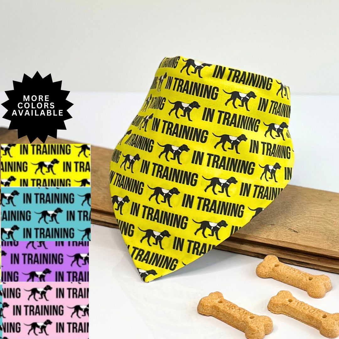 In Training Dog Bandana Reversible Therapy Dog & Service Dog in