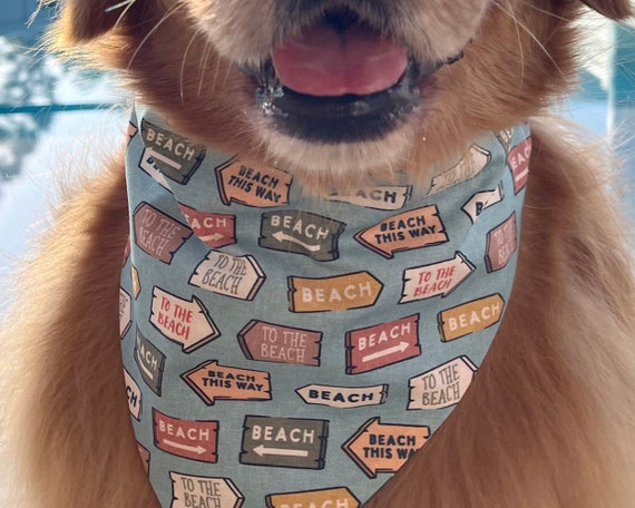 Beach dog sale bandana
