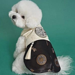 Traditional Korean Hanbok Style Dog Outfit - Perfect Fit for Small Pets