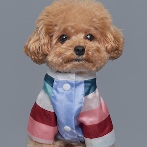 Traditional Korean Hanbok Style Dog Outfit - Perfect Fit for Small to Medium Pets 2-1