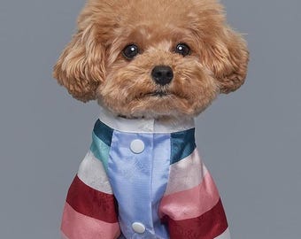 Traditional Korean Hanbok Style Dog Outfit - Perfect Fit for Small to Medium Pets 2-1