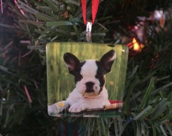 French Bulldog Ornament/French Bulldog Glass Ornament/Dog Ornament/Novelty Gift/Upcycled Glass Ornament/Reclaimed Ornament