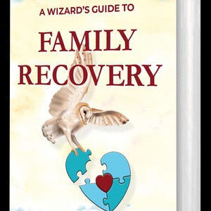 A Wizard's Guide to Family Recovery: Self-Help Book