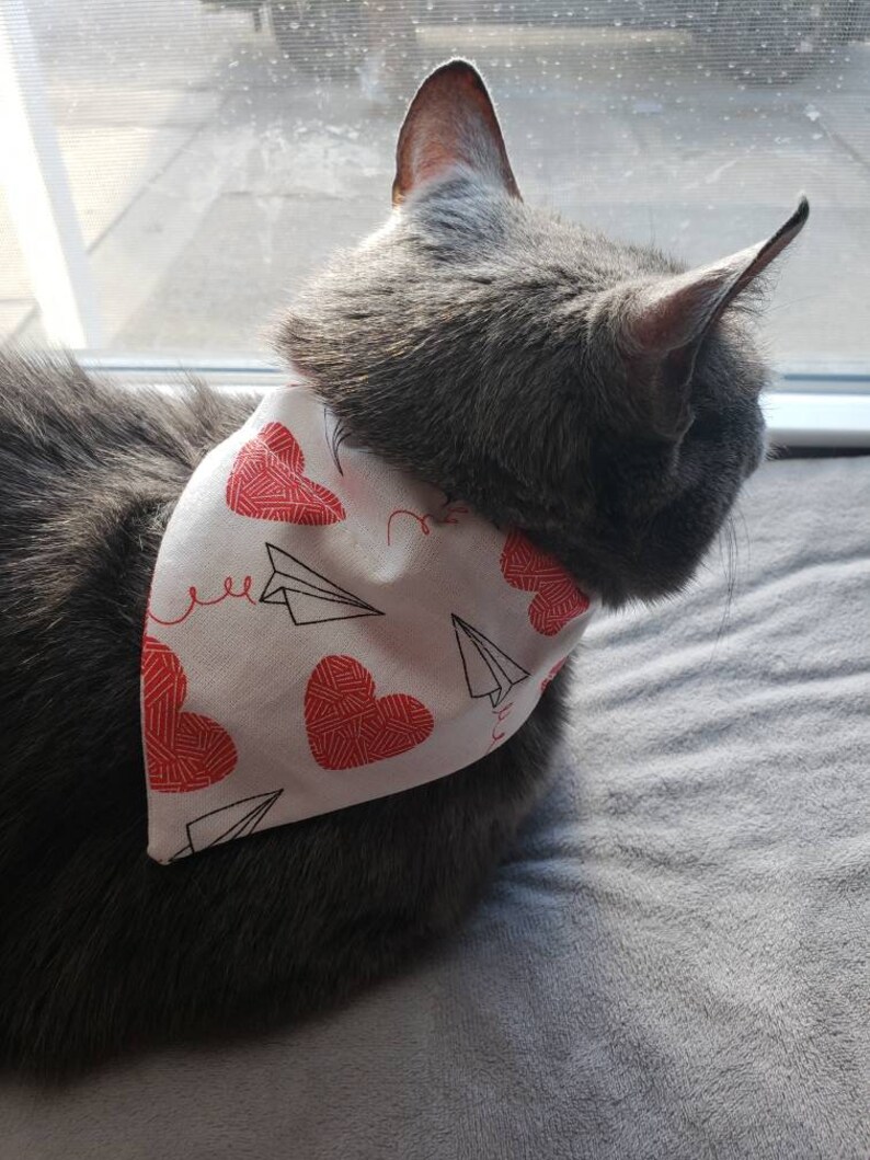 Daisy Pattern Pet BandanaScrunchie Matching Pet Bandana and Scrunchie Dual Sided and 100/% Cotton