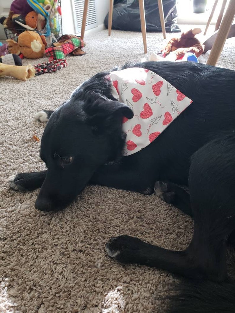 Daisy Pattern Pet BandanaScrunchie Matching Pet Bandana and Scrunchie Dual Sided and 100/% Cotton