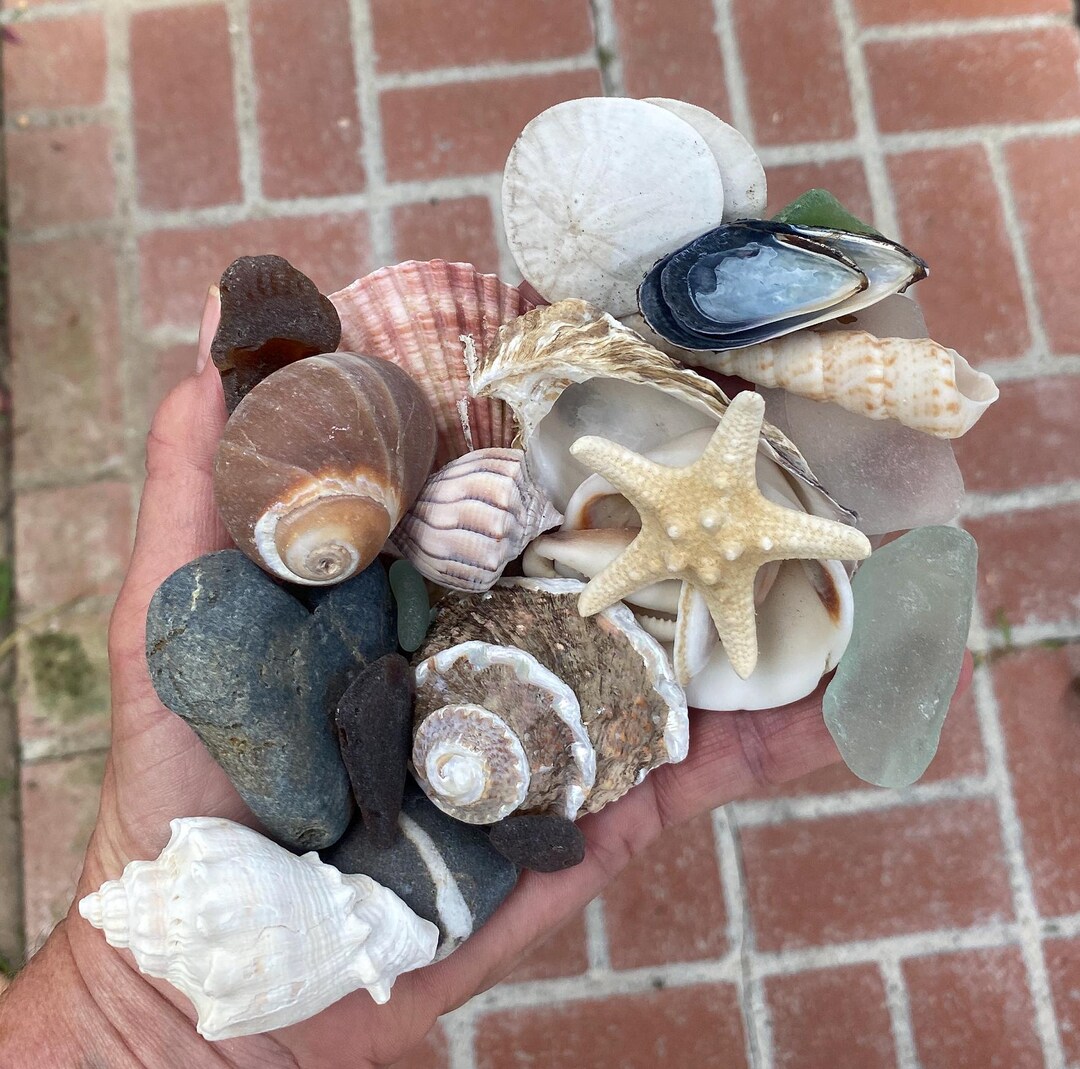 A Large Scoop From the Beach - Sea Glass, Shells, Wishing Stone, Heart ...