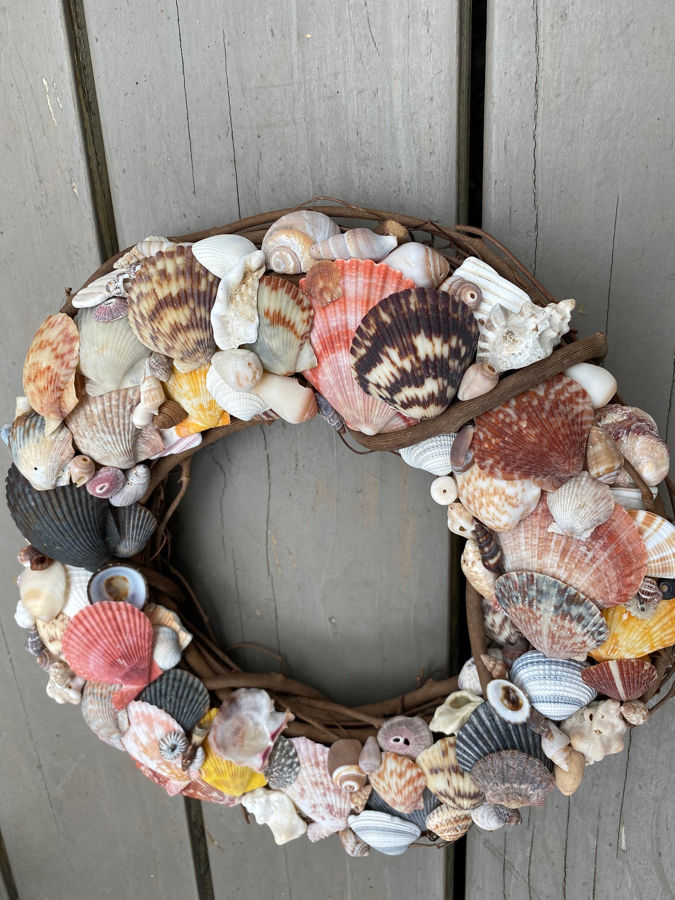 Shell Display Wreath Shell Wreath - Hand Made - Multi-shell - One-of-a-kind - 11