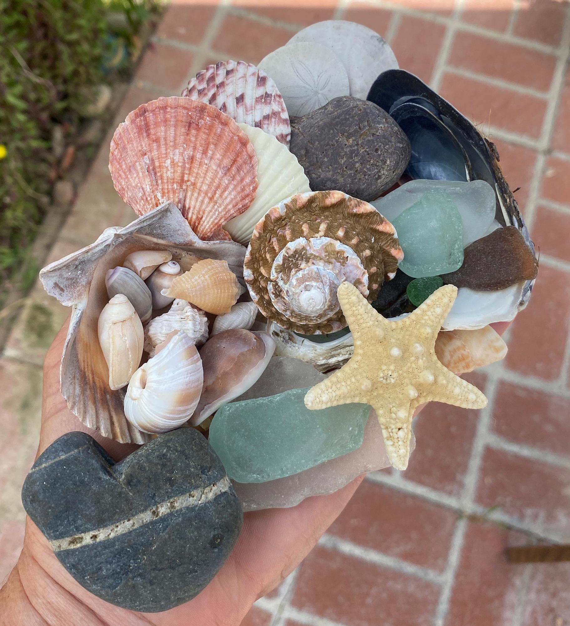 A Large Scoop From the Beach - Sea Glass, Shells, Wishing Stone, Heart ...