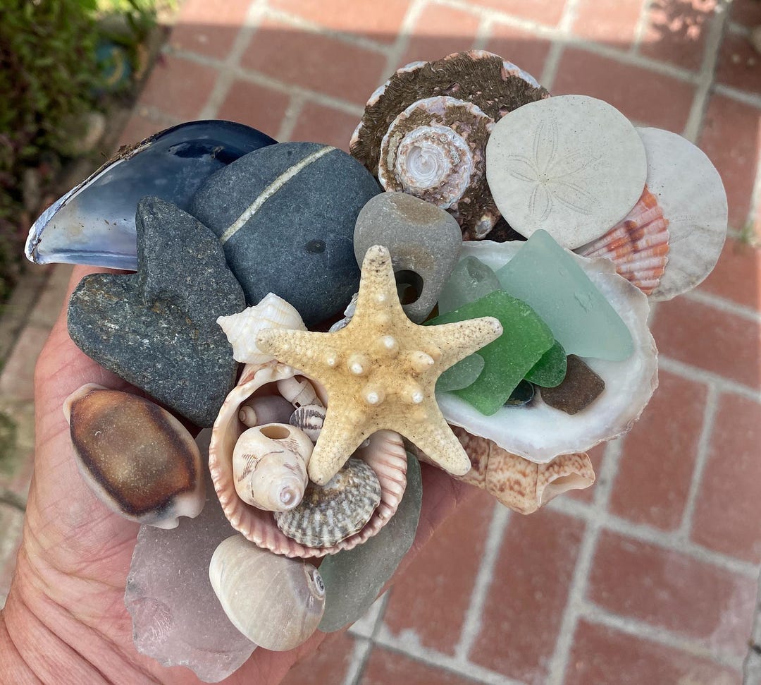 A Large Scoop From the Beach - Sea Glass, Shells, Wishing Stone, Heart ...