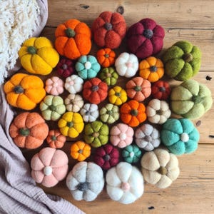 Needle Felted Wool Pumpkin: Autumn Decor - 13 Colours