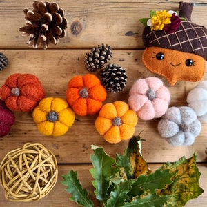 Natural Autumn Felt Pumpkins - Sold Individually - Halloween Decor