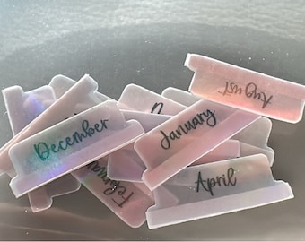 Neutral Holographic Vellum Planner Tabs