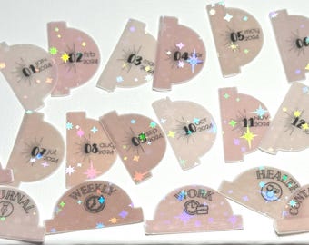 Aesthetic Neutral Holographic Month Planner Tabs