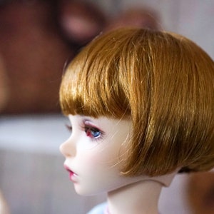May include: A doll with short, straight, auburn hair styled in a bob. The doll has blue eyes and a light skin tone.