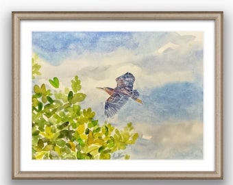 Original Watercolor Painting,  Green Heron Flying, 12x 9”, bird art, gift, affordable, Florida Keys, Mangrove, Coastal decor, wall hanging