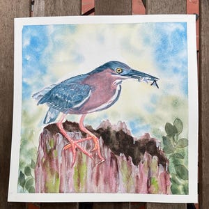 Green Heron Fishing, 10 x 10”, original watercolor painting, bird art, gift, affordable, Florida Keys, Mangrove, Coastal decor, wall hanging