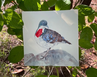 Originele handgeschilderde aquarel, bloedende hartduif, 8 x 8", vogelkunst, wanddecoratie, cadeau voor vogelliefhebbers, met de hand gemaakt, beeldende kunst schilderij
