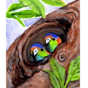 Original Aquarell, Zwei Baby Regenbogen Lorikeet Vögel warten auf ihre Eltern, 20 x 15 cm, Geschenk für Sie, Vogelliebhaber, Wanddekoration