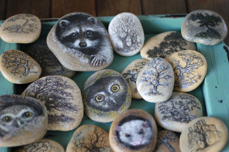 Painted rocks Raccoon Realistic Stone drawing Office Decor Etsy