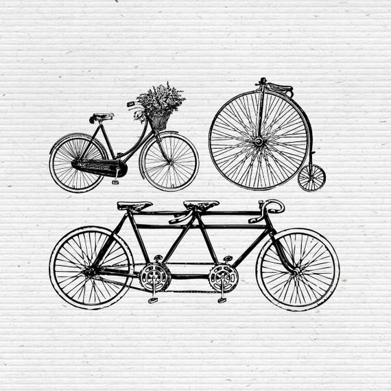 Vintage Bicycles Graphic Illustration Image And Vector In Etsy