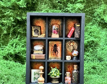 The Entomophile – Handmade Cabinet of Curiosities | Miniature Wunderkammer Shadow Box with Insect Specimen