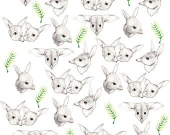 Bilbies Fabric Print - Fat Quarter