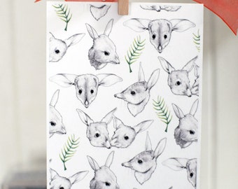 Bilbies Postcard Print