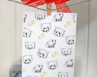 Impression de carte postale Red Pandas