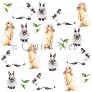 Bunnies & Friends Fabric Print - Fat Quarter