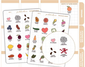 Pregnancy Weeks Stickers | Drawn Planner Stickers | D37(2)